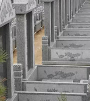 临汾祖坟墓地出现这种现象，大事不妙，千万要注意了！